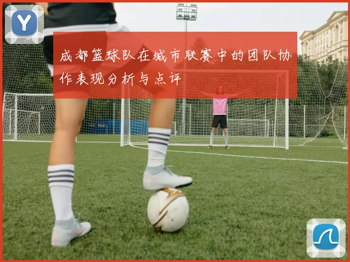 成都篮球队在城市联赛中的团队协作表现分析与点评