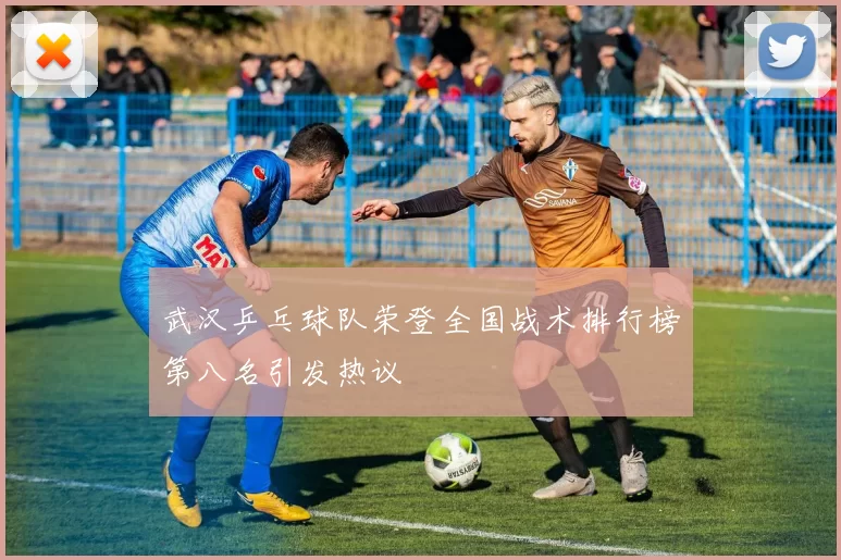 武汉乒乓球队荣登全国战术排行榜第八名引发热议